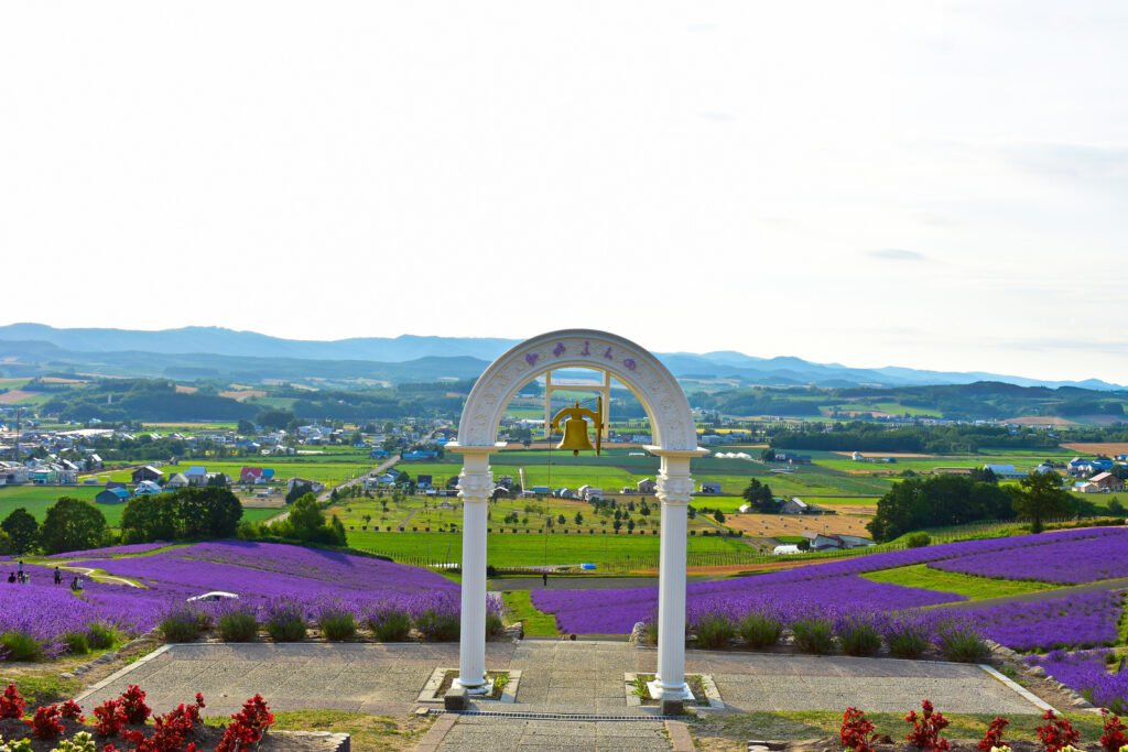 🌸 일출 공원(히노데 코엔) 이미지 8